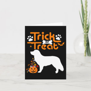 Trick Or Treat Duck Tolling Retriever Hond Hallowe Kaart