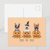 Trick or treat French Bulldogs Pumpkin Briefkaart (Voorkant / Achterkant)