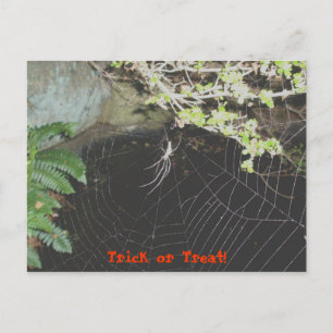 Trick or treat! Halloween Briefkaart