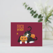 Trick or treat halloween Cat leuke Briefkaart (Staand voorkant)