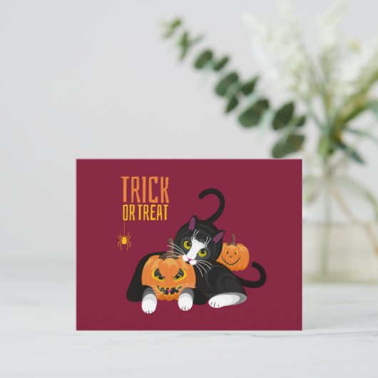 Trick or treat halloween Cat leuke Briefkaart (Staand voorkant)