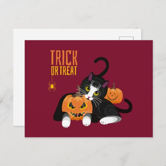 Trick or treat halloween Cat leuke Briefkaart (Voorkant / Achterkant)