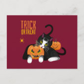 Trick or treat halloween Cat leuke Briefkaart (Voorkant)