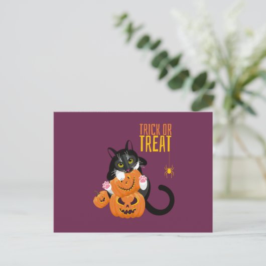 Trick or treat halloween Cat leuke Briefkaart (Staand voorkant)