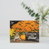 Trick or treat Halloween Eekhoorn Feestdagenkaart (Staand voorkant)
