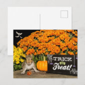 Trick or treat Halloween Eekhoorn Feestdagenkaart (Voorkant / Achterkant)