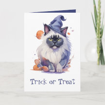 Trick or treat Halloween waterverf birman cat