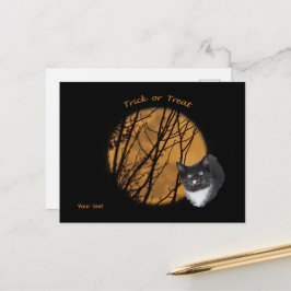 Trick or treat Halloween zwarte kat & maan Briefkaart