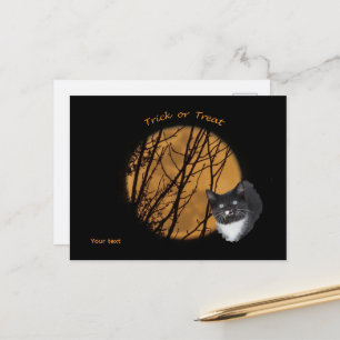 Trick or treat Halloween zwarte kat & maan Briefkaart