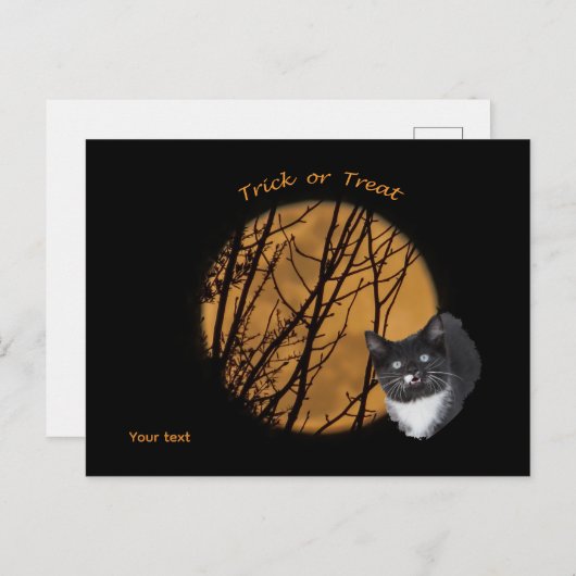 Trick or treat Halloween zwarte kat & maan Briefkaart (Voorkant / Achterkant)