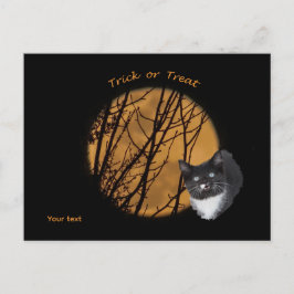 Trick or treat Halloween zwarte kat & maan Briefkaart