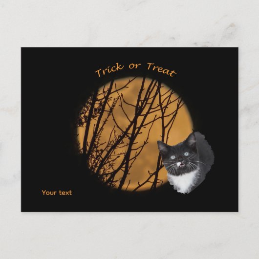 Trick or treat Halloween zwarte kat & maan Briefkaart (Voorkant)