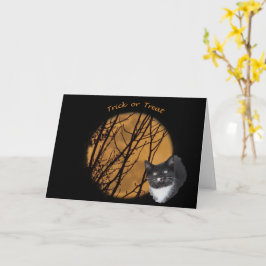 Trick or treat Halloween zwarte kat & maan Kaart