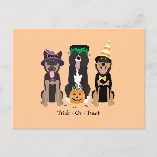Trick or treat honden in Halloween Costumes Briefkaart (Voorkant)