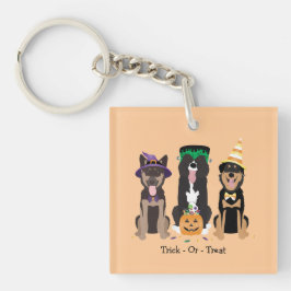 Trick or treat honden in Halloween Costumes Sleutelhanger
