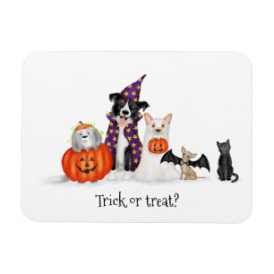 Trick or treat? Honden in Halloween kostuums magne Magneet