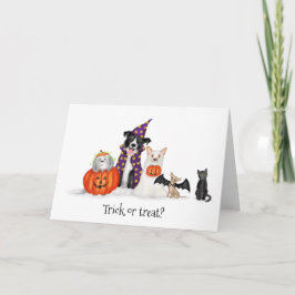 Trick or treat? Honden in kostuum Halloween kaart