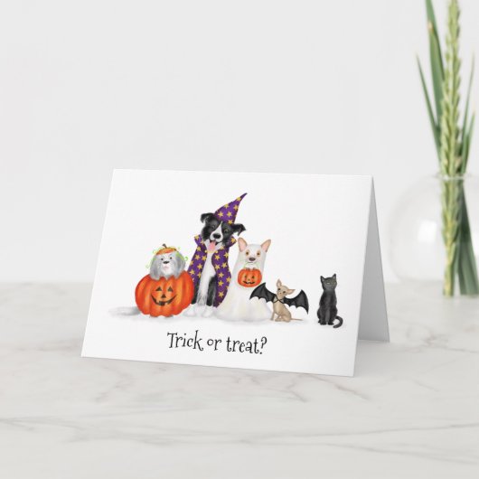 Trick or treat? Honden in kostuum Halloween kaart (Voorkant)
