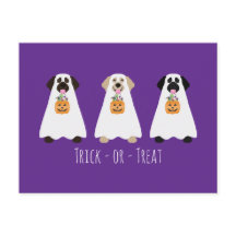 Trick or treat Labrador Retriever Spookhonden