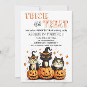 Trick or treat Leuke Halloween Katten Verjaardag Kaart (Voorkant)
