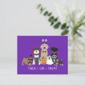 Trick or treat Pets Halloween Costumes Briefkaart (Staand voorkant)