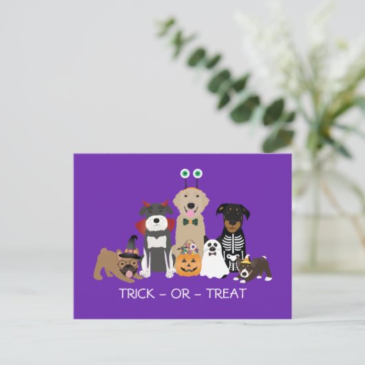 Trick or treat Pets Halloween Costumes Briefkaart (Staand voorkant)