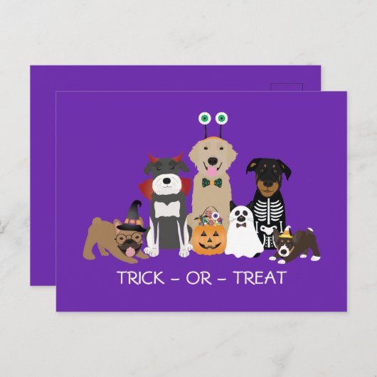 Trick or treat Pets Halloween Costumes Briefkaart (Voorkant / Achterkant)