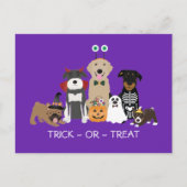 Trick or treat Pets Halloween Costumes Briefkaart (Voorkant)