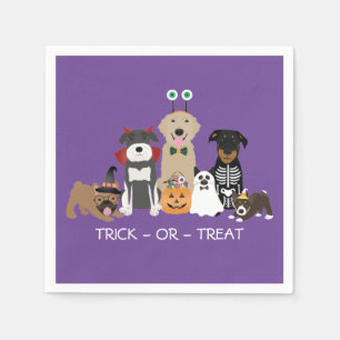 Trick or treat Pets Halloween Costumes Servet