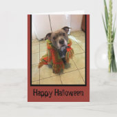 Trick or treat Pitbull Halloween Kaart (Voorkant)