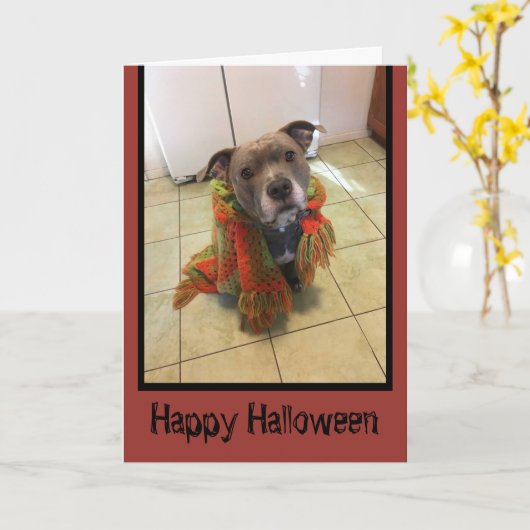 Trick or treat Pitbull Halloween Kaart (Gele Bloem)