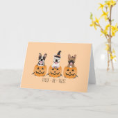 Trick or treat Pumpkin, Franse Bulldogs Kaart (Gele Bloem)