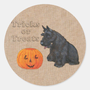 Trick or treat Scottie Dog Ronde Sticker