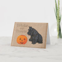 Trick or Treat Scottie Hond
