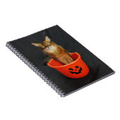 Trick or Treat Somali Cat Notitieboek (Rechterzijde)