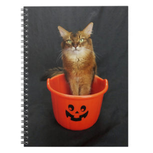 Trick or Treat Somali Cat Notitieboek