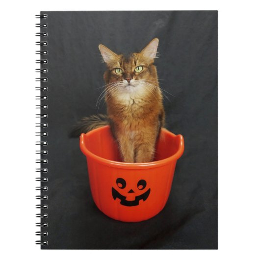 Trick or Treat Somali Cat Notitieboek (Voorkant)