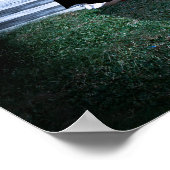 Trick or treat Tijd voor deze Kleine Eenden Poster (Hoek)