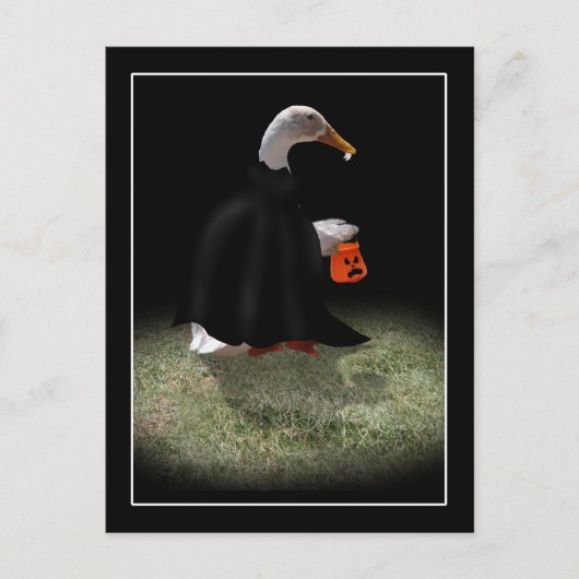Trick or treat Tijd voor Dracula Duck Briefkaart (Voorkant)