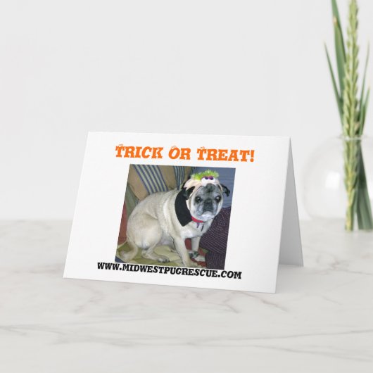 Trick or treat!, www.midwestpu... kaart (Voorkant)