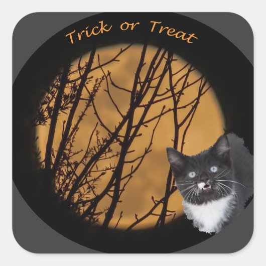 Trick or treat zwart cat & moon Halloween Vierkante Sticker (Voorkant)