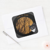 Trick or treat zwart cat & moon Halloween Vierkante Sticker (Envelop)