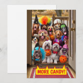 Trick-or-Treatende Honden Kaart (Voorkant / Achterkant)