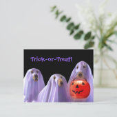 Trick-or-Treating Ghost Dogs Halloween Briefkaart (Staand voorkant)