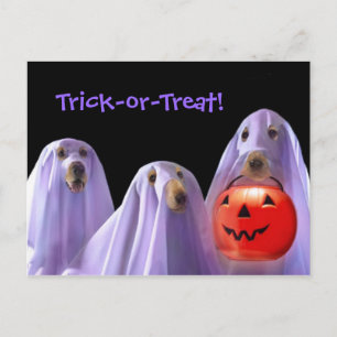 Trick-or-Treating Ghost Dogs Halloween Briefkaart
