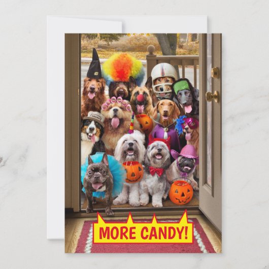 Trick-or-Treating Honden Kaart (Voorkant)