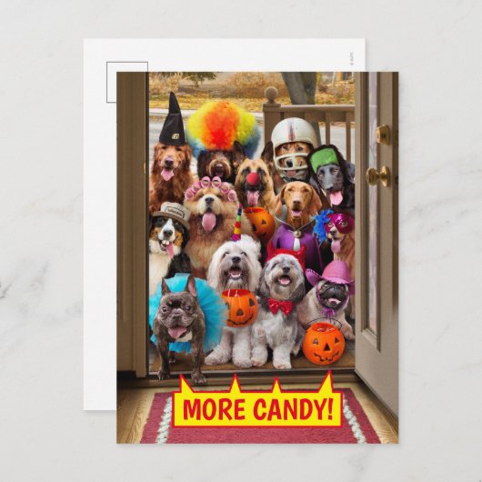 Trick-or-Treating Honden Uitnodiging Briefkaart (Voorkant / Achterkant)
