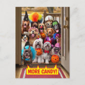 Trick-or-Treating Honden Uitnodiging Briefkaart (Voorkant)