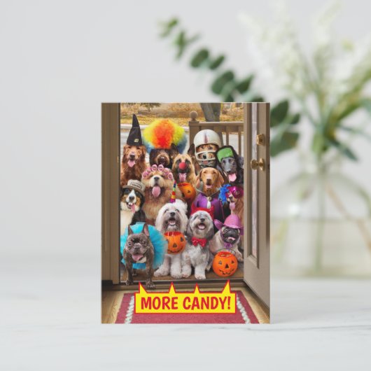 Trick-or-Treating Honden Uitnodiging Briefkaart (Staand voorkant)