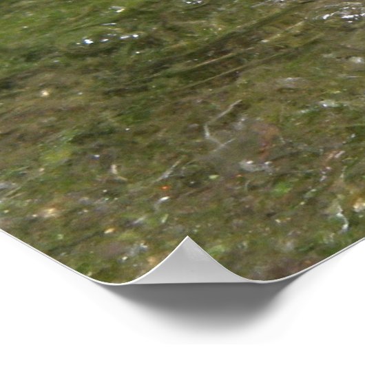 Tricking Waterval Bubbling Water Print (Hoek)